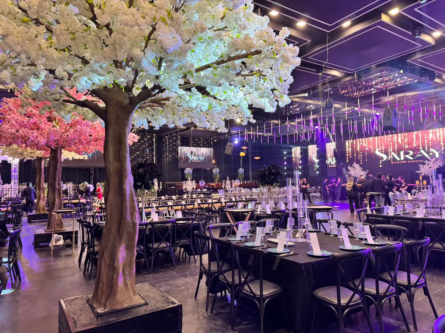 Saray events